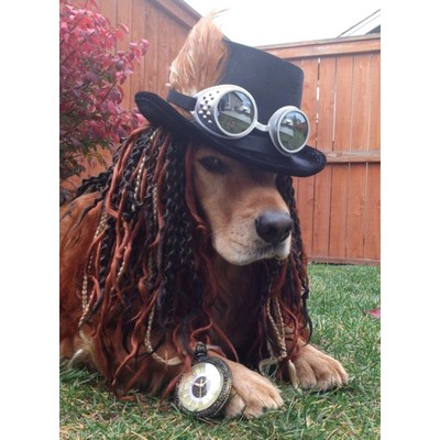 Image for: Steampunk Dog Costume