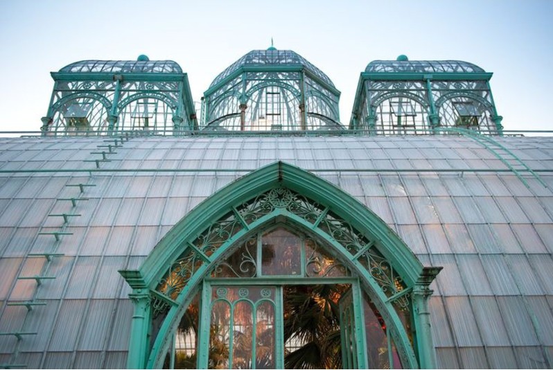 Image for: The Royal Greenhouses of Laeken