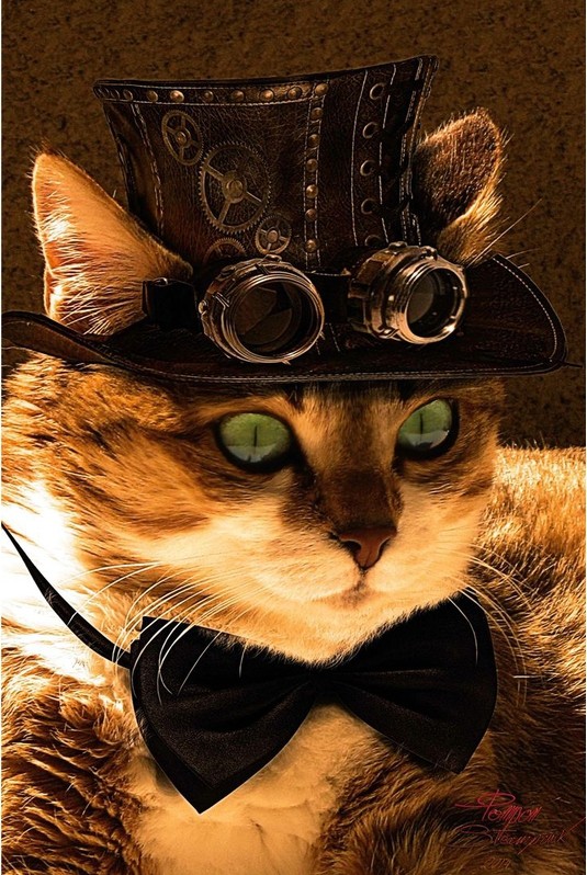 Image for: Steampunk Cat