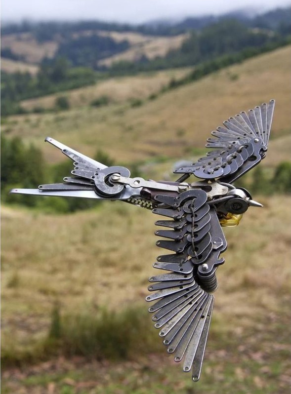 Image for: Bird in Flight
